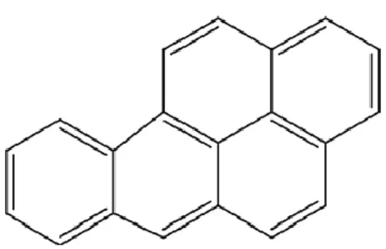 Figura 7 - Estrutura molecular do benzo[a]pireno (adaptado de  24  ). 