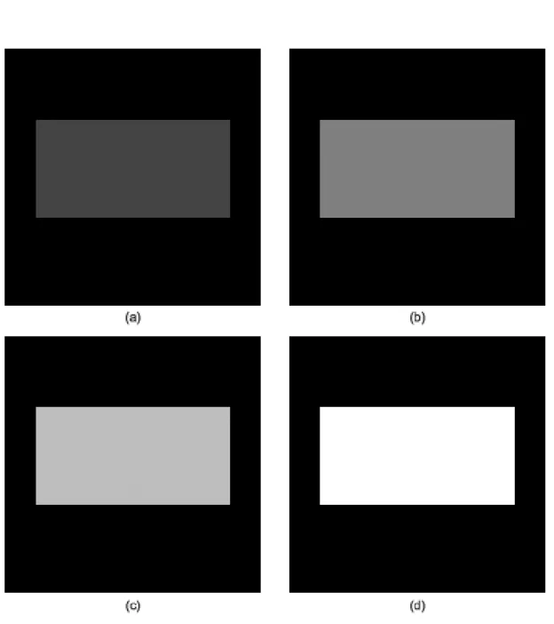 Figura 27: Imagens da forma retâng2 geradas para a validação da segmentação baseada em textura, onde as intensidades ilustradas são 13, 77, 191 e 255, respectivamente em (a), (b), (c) e (d).