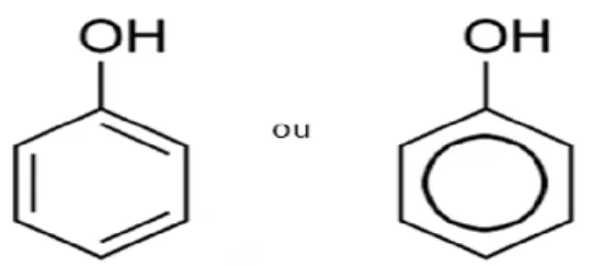 FIGURA 2: Representação da estrutura molecular do fenol 