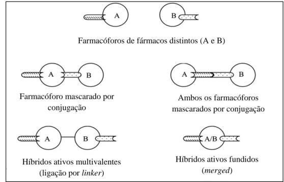 Figura  2.1  –  Apresentações  de  fármacos  na  forma  de  híbridos  (imagem  adaptada  de 