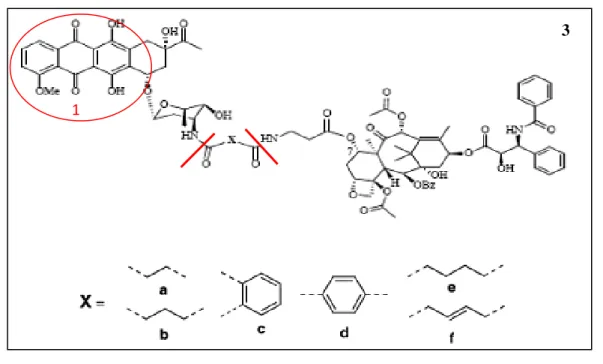 Figura  4.1.1  –  Representação  estrutural  de  híbridos  compostos  por  paclitaxel  e  daunorrubicina, 3a-f (imagem adaptada de  [20,38] )