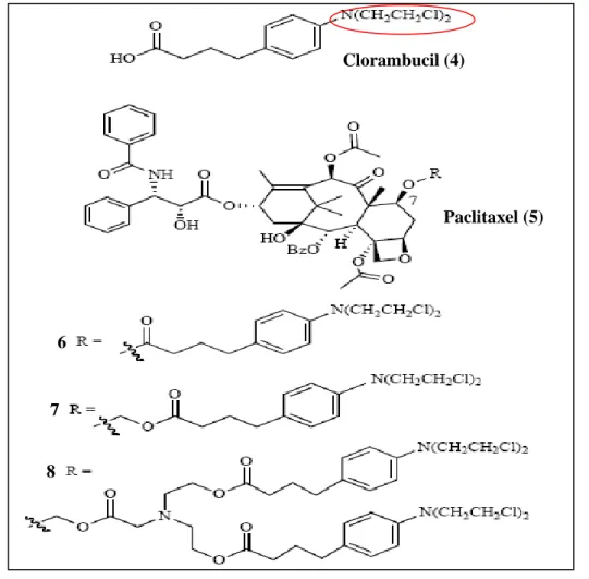 Figura  4.2.1  –  Representação  estrutural  de  híbridos  compostos  por  paclitaxel  (5)  e  clorambucil (4), 6-8 (imagem adaptada de  [20] )