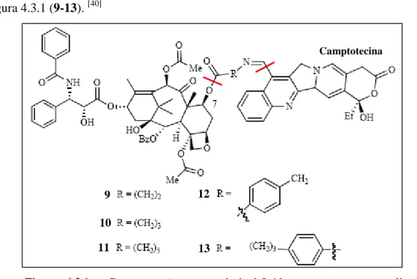 Figura  4.3.1  –  Representação  estrutural  de  híbridos  compostos  por  paclitaxel  e  camptotecina, 9-13 (imagem adaptada de  [20] )