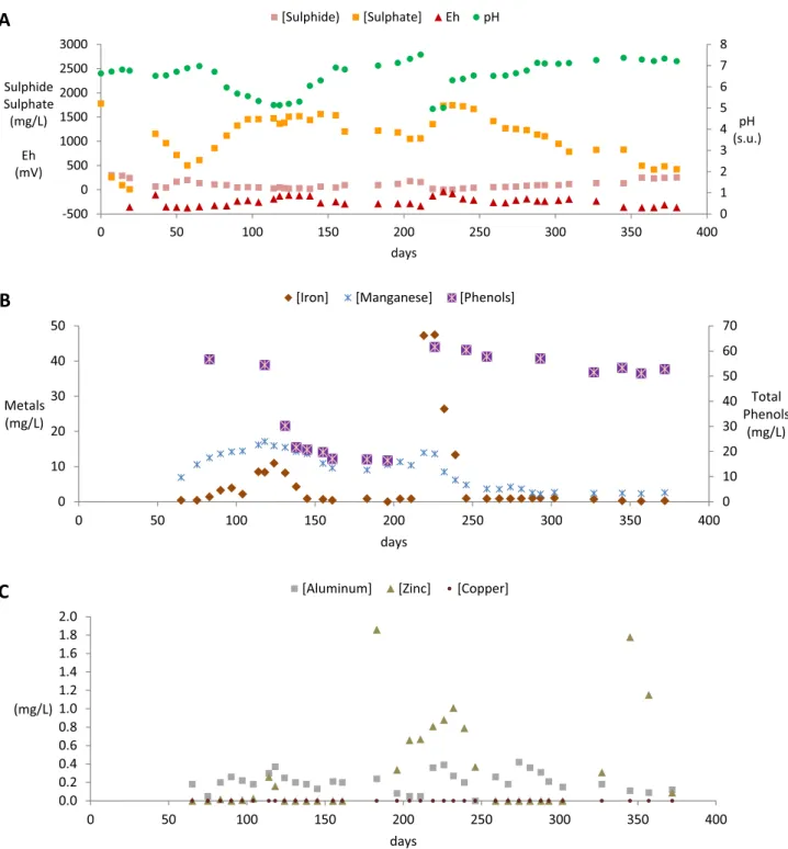 Fig. 6    Parameters monitored in UAPB bioreactor effluent of the continuous flow experiment