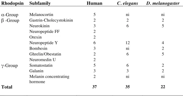 Table  2.  Gene  number  and  receptor  subfamilies  of  the  human  rhodopsin  GPCRs  involved  in  feeding  and  the  sequence  homologues  identified  in  C