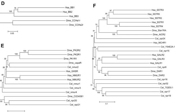 Figure 3. Phylogenetic relationship of the Human (Hsa) rhodopsin GPCRs involved in  feeding  with  the  nematode  C