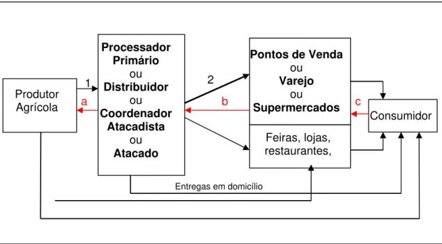 Figura 4: Esquema da Cadeia Produtiva de Orgânicos. Fonte: Pacheco et al., 2002. Adaptado  pela autora para visualização do enfoque da pesquisa