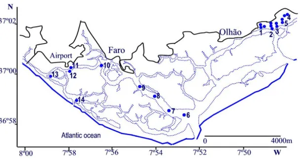 Figure  1.  Approximate  location  of  subtidal  sampling  stations.  Stations  1-5  Gamito  (2006)  sites  A-E,  Stations 6-10: Faro channel stations (Calvário, 1995), station 11: Zostera bed; station 12: muddy sand  bottom; station 13: sandy mud bottom a