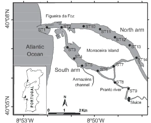 Fig. 1. Location of sampling stations in the Mondego estuary, Portugal. 