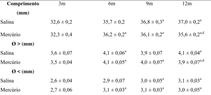 Tabela 1 – Comprimento femural e diâmetros maior e menor da diáfise femural dos animais dos diferentes grupos  experimentais