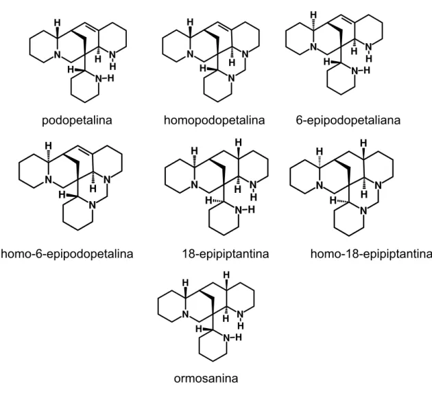 FIGURA 1.3 – Alcalóides quinolizidínicos do tipo ormosínico encontrados em  Acosmium 
