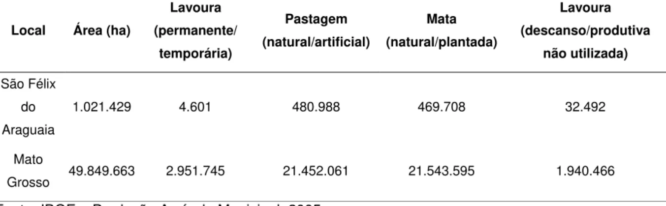 Tabela 4.  Tipos de usos da terra (extensão em ha) observados para o Município  de São Félix do Araguaia e para o Estado do Mato Grosso, em 1995