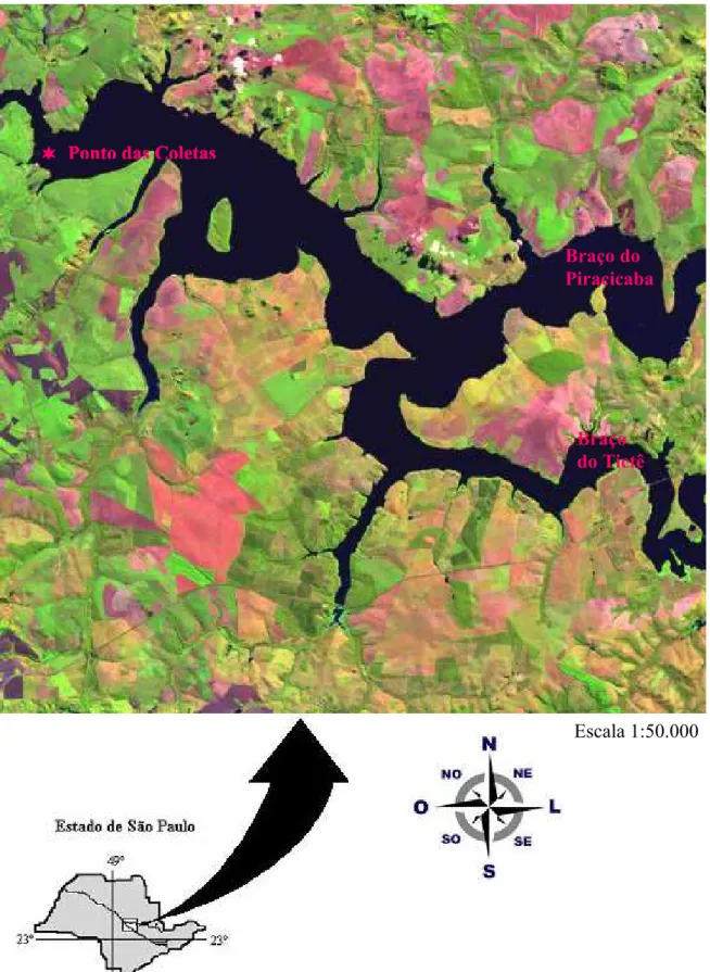 Figura 1. Reservatório de Barra Bonita; o símbolo  representa o ponto de coleta de  coordenadas 22° 32’ 34,5” S, 48° 29’ 26,4” O, situado a cerca de 3 km a montante da 