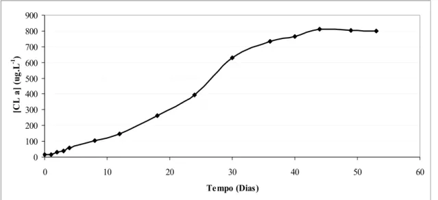 Figura 4. Concentração de clorofila a ( μ g.L -1 ) em função do tempo (dias) da cultura de  Microcystis aeruginosa