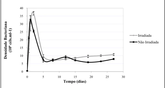 Figura 10. Densidade celular (10 6  céls.mL -1 ) em função do tempo (dias) para as  culturas bacterianas enriquecidas com a fração MOD&lt;3 kDa, irradiada e não irradiada