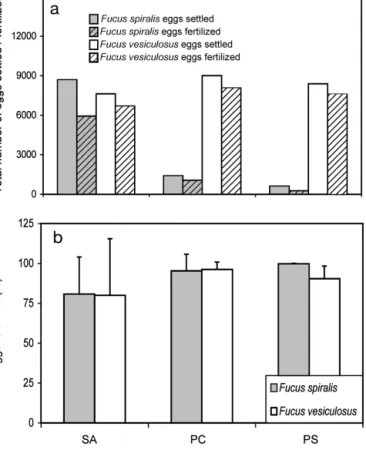 Fig. 5. Fucus vesiculosus and F. spiralis. Time (h) of low tide on days of substantial egg release (&gt; 500 eggs, released) and total number of eggs collected