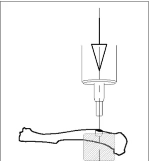Figura 11 – Desenho do Teste de Endentação. 