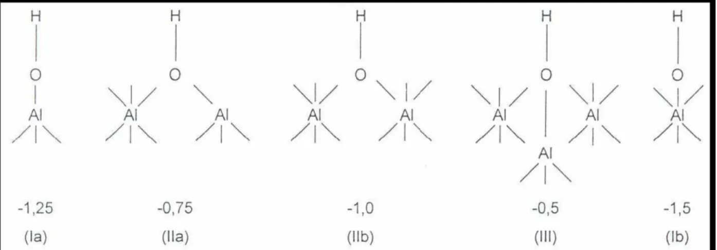 Figura 1 - Representação esquemática das hidroxilas presentes na superfície  de um sólido com características ácidas ( Poncelet et al