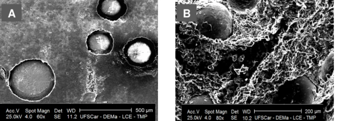 FIGURA  4.4.  MEV  da  superfície  do  ECCM-resina-Cu  (A)  micrografia  obtida  na  ausência de rutina e (B) após  a determinação de 1,92 x 10 -4  mol L -1  rutina; detector  BSE; Escala 200 µm; zoom 80 vezes