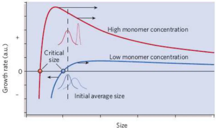 FIGURA 1. Representação gráfica do modelo de crescimento com alta e baixa concentração  de monômero
