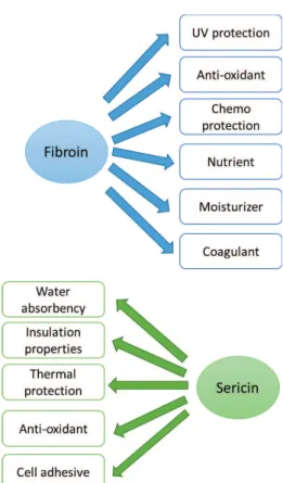 Figure 2: Biological attributes of silk fibroin and sericin [18].
