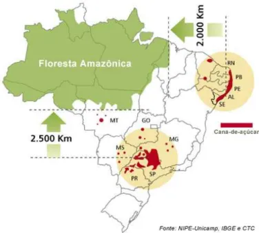 Figura 1 -  Mapa da distribuição dos cultivos de cana-de- cana-de-açúcar no Brasil (extraído da página da internet  www.unica.com.br em 25/06/2009)