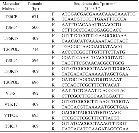 Tabela 2.2.1 - Sequência dos “primers” usados na amplificação por PCR de marcadores moleculares de  CTV