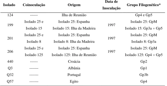 Tabela 4.2.1 - Composição e origem dos isolados CTV. 