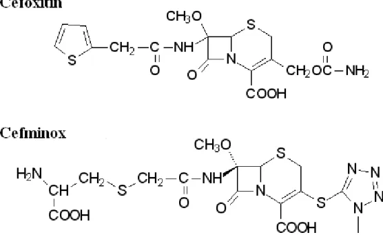 Figura  2.14. Derivados da cefamicina C:  Cefoxitin e Cefminox. 