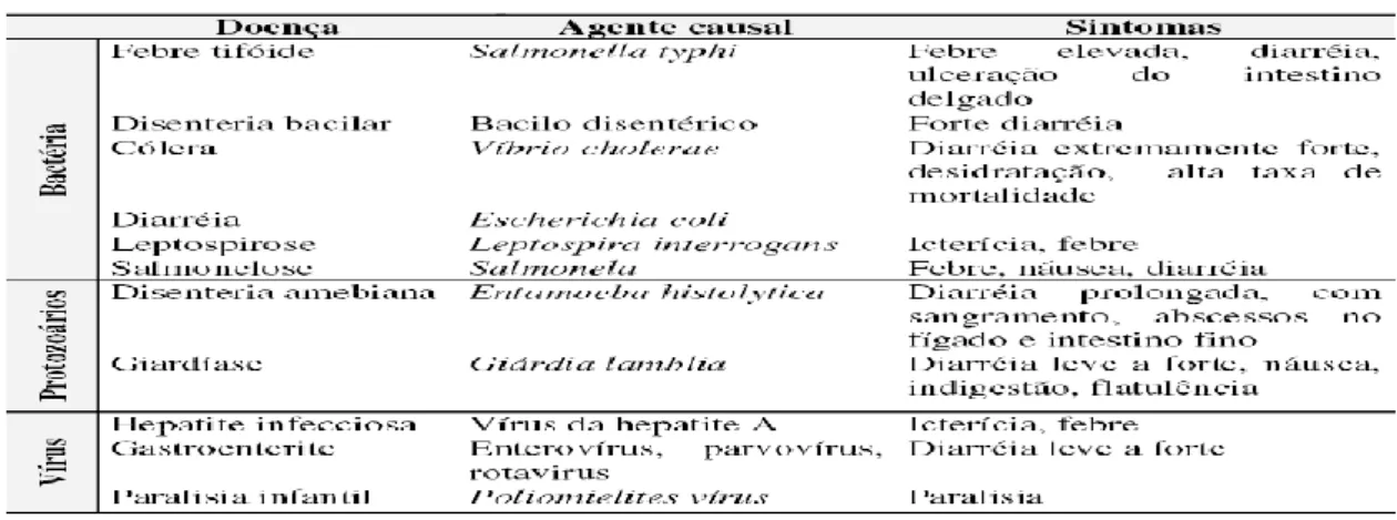 Tabela 1: Principais microrganismos agentes de doenças transmitidas pela água. 