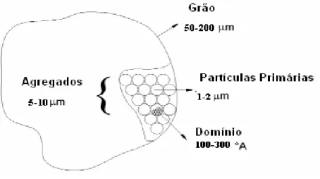 Figura 2.3 – Morfologia das partículas de PVC obtidas pelo processo de suspensão [4]. 