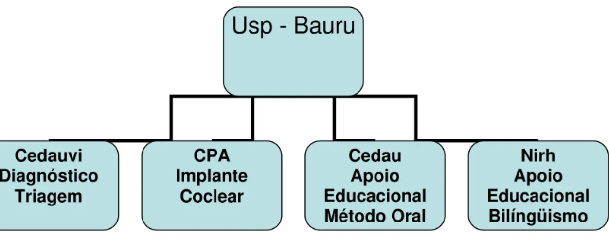Figura 1.  Organograma de serviços da USP-Bauru disponibilizados à pessoa surda. 
