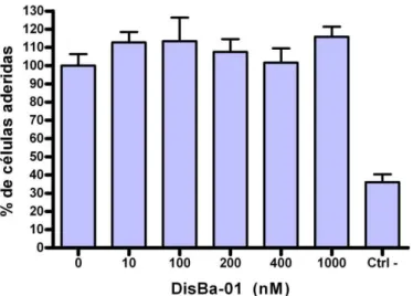 Figura 11: Porcentagem de mioblastos aderidos em placas recobertas com fibronectina. 