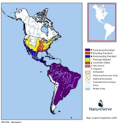 Figura 5: Distribuição da subespécie Ardea alba egretta no continente Americano (NatureServe: 