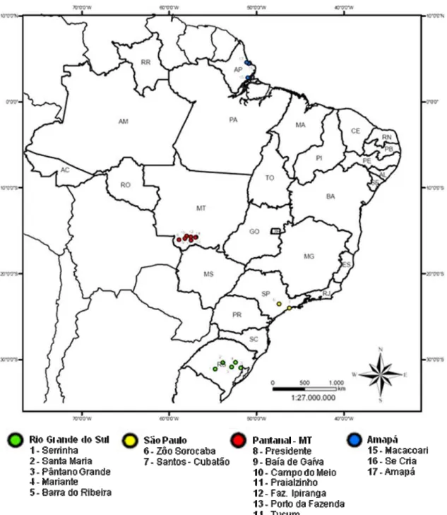 Figura 8: Localização das colônias amostradas em quatro regiões do Brasil.   