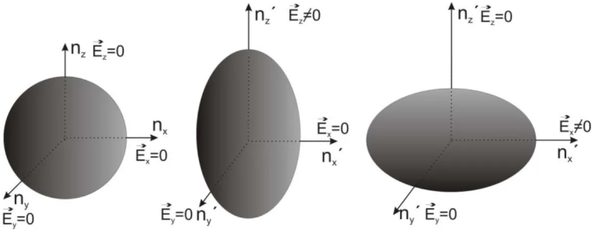 Figura 6 - Comportamento birrefringente observado segundo as variações dos índices de refração nos eixos  principais (x, y e z)