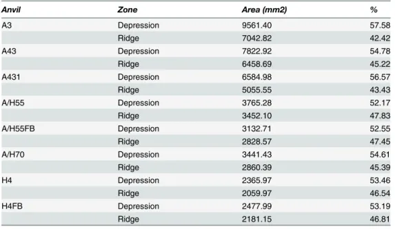 Table 2. Percentage of depressions and ridges in stone tool surfaces.