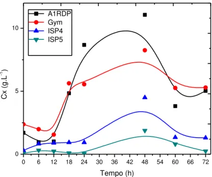 Figura 12: Perfil de crescimento de Streptomyces carpaticus nos meios  A1RDP, Gym, ISP4 e ISP5