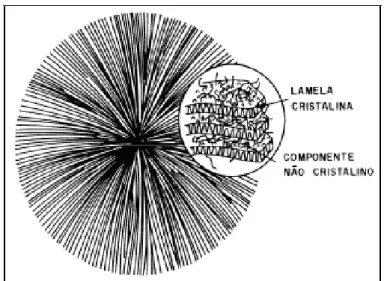 Figura 3.2 - Diagrama esquemático de uma estrutura esferulítica mostrando o  crescimento  radial  das  lamelas  cristalinas  e  a  localização  dos  componentes  não cristalinos  [30] 