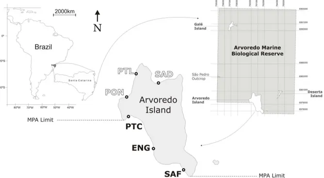 Figure  1:  The  Arvoredo  Marine  Biological  Reserve  (AMBR)  archipelago  (27°17'  S;  48°28'  W)  formed by the islands of Arvoredo, Galés and Deserta; and São Pedro rocky outcrop