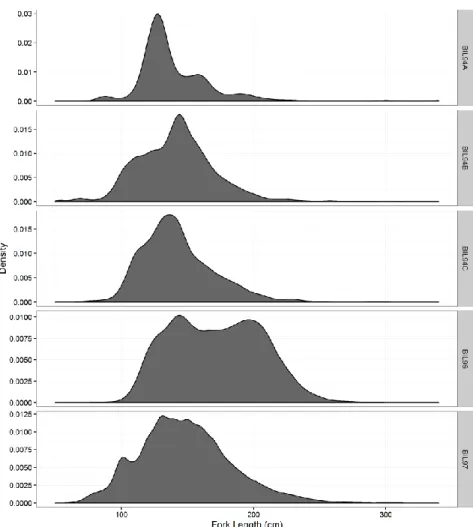 Figure  2.  Size-frequency  distributions  of  shortfin  mako  sharks  (Isurus  oxyrinchus),  caught  in  the  ICCAT  sampling areas of the Atlantic Ocean by the Portuguese pelagic longline fleet