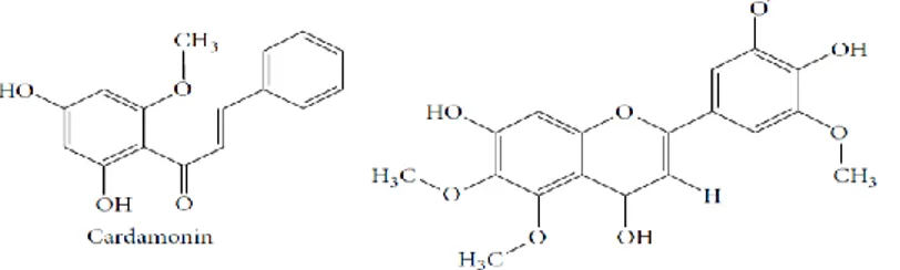 Figura 3. Estrutura química de compostos extraídos de Artimisia absinthium.[1] 