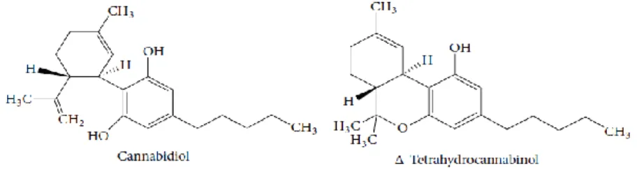 Figura 4. Estrutura química de compostos de Cannabis sativa.[1] 