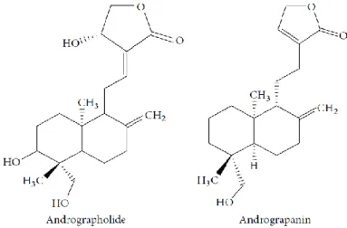 Figura 5. Estrutura química de compostos de Androphagus paniculata [1] 