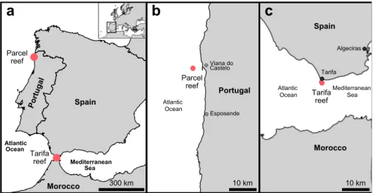 Figure 1. Sampling locations of temperate reefs in the South European Atlantic Shelf marine ecoregion in Iberian Peninsula Atlantic coastal waters (a), showing details of the sampling location in Parcel (b) in Northern Portugal (off Viana do Castelo) and i