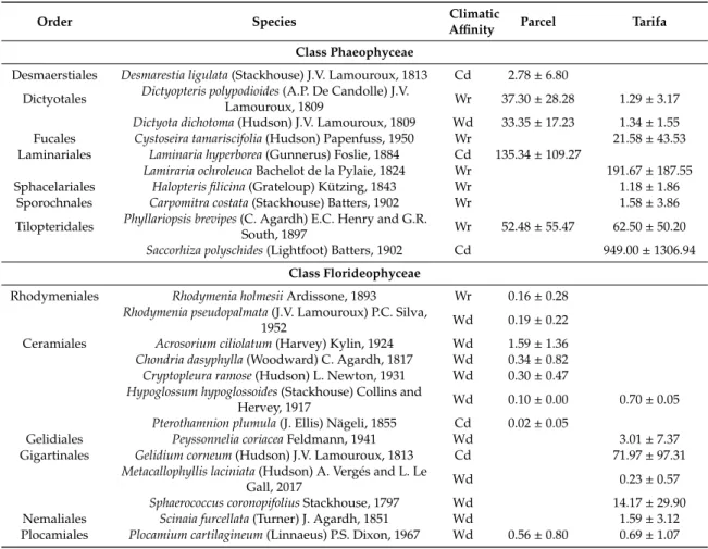 Table 2. List of algae species identified in Parcel and Tarifa locations, along with their biomass abundance (g wet weight per 0.25 m 2 , mean ± SD, n = 12) and its climatic affinity: cold-water Atlantic-boreal (Cd), warm-water Lusitanian species (Wr), or 