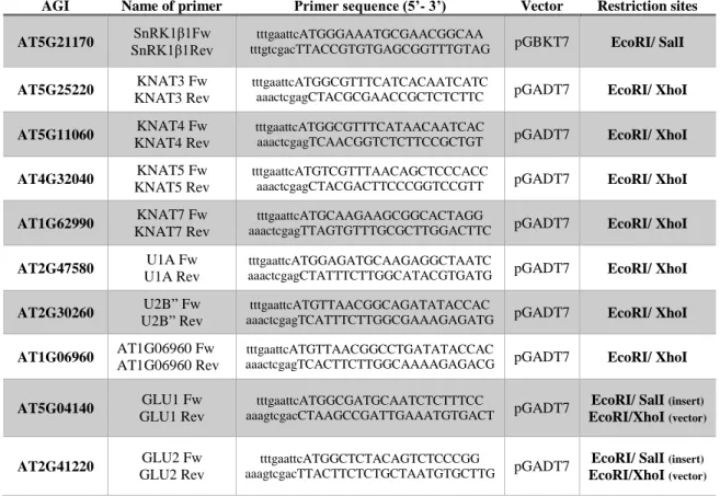 Table I: Sequence of the primers used in this work for PCR amplifications. 