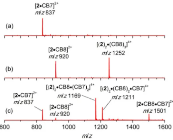 Figure 5. Principal MS 2 fragmentation products for the m/z 1169 and 1211 ions. The models correspond to MM2-optimized structures of the complexes.