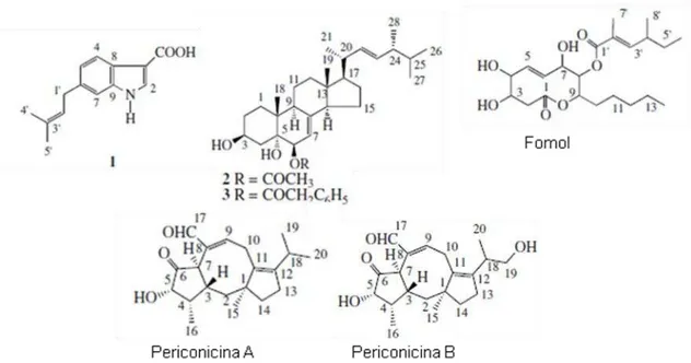 Figura  2:  Estrutura  química  de  Produtos  Naturais  produzidos  por  microrganismos  endofíticos  (GUO  et  al., 2008)