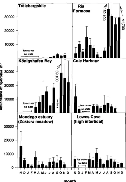Fig. 1. Abundance of  hydrobiid  snails (mean  +  1 SD) during the investi-  gation period  from  November  1995 to  December  1996